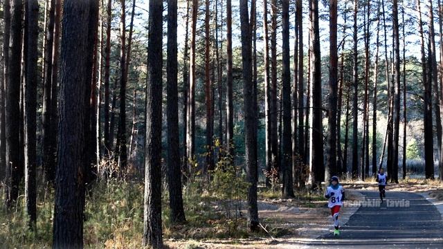 Кросс лыжников. Тавда. 2025 год. 12 октября