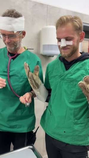 #приколы #юмор #прикол #смешно #коты #кот #кошки #котята #топ #топчик #роликдня #видеодня #лучшее #л