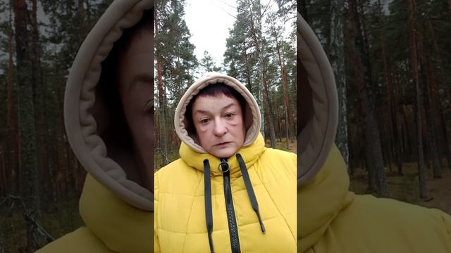 Всем добра здоровья мира 🌍 смотреть онлайн