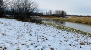 Западная Сибирь// осень// осенний лес// река// снег// 2025 год