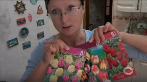 Хроника в городе в середине октября 2025 года.