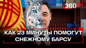 Почему 23 минуты? Глава Киргизии объявил о необычной акции в защиту снежного барса