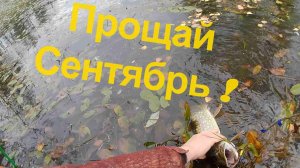 Прощай Сентябрь!