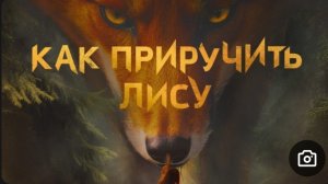 Как приручить лису