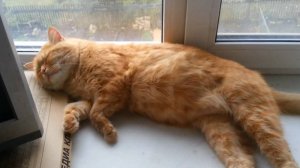 После прогулки