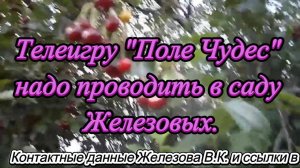 Телеигру "Поле Чудес" надо проводить в саду Железовых.