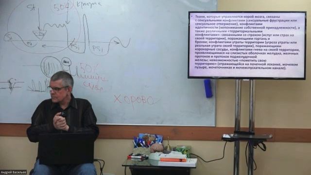 "Сексуальный конфликт".