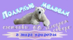 📗 "Полярные медведи - охотники на холодном севере" ~ СЛАЙДЫ | РАССКАЗ Христианский 🌼🟢