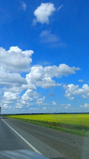 Российские просторы смотреть онлайн