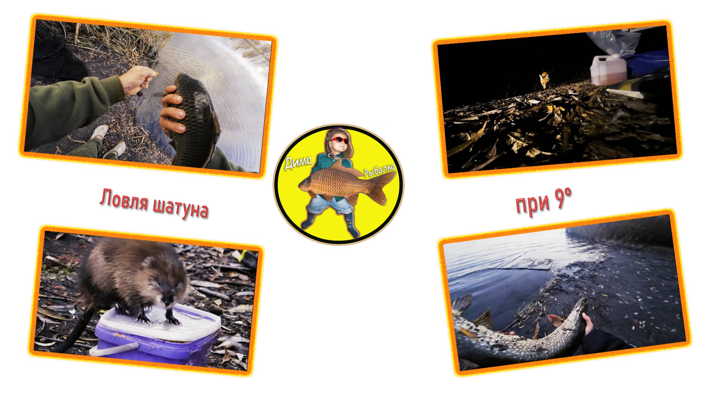 Карп шатун или ловля при 9 градусах смотреть онлайн