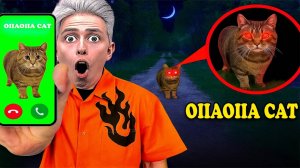 МЫ ПОЗВОНИЛИ OIIAOIIA CAT в 3:00 НОЧИ — И ОН ОТВЕТИЛ!