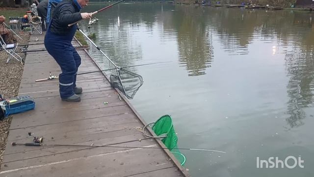 Ловим до запуска смотреть онлайн
