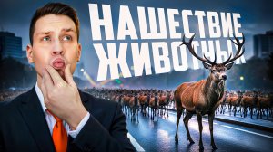 Массовые миграции и вторжения в цивилизацию животных