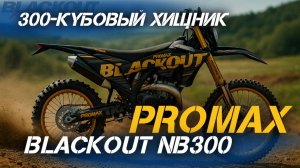 💥 300 кубов ярости! Кроссовый мотоцикл PROMAX BLACKOUT NB300 — обзор зверя от X-MOTORS 😎