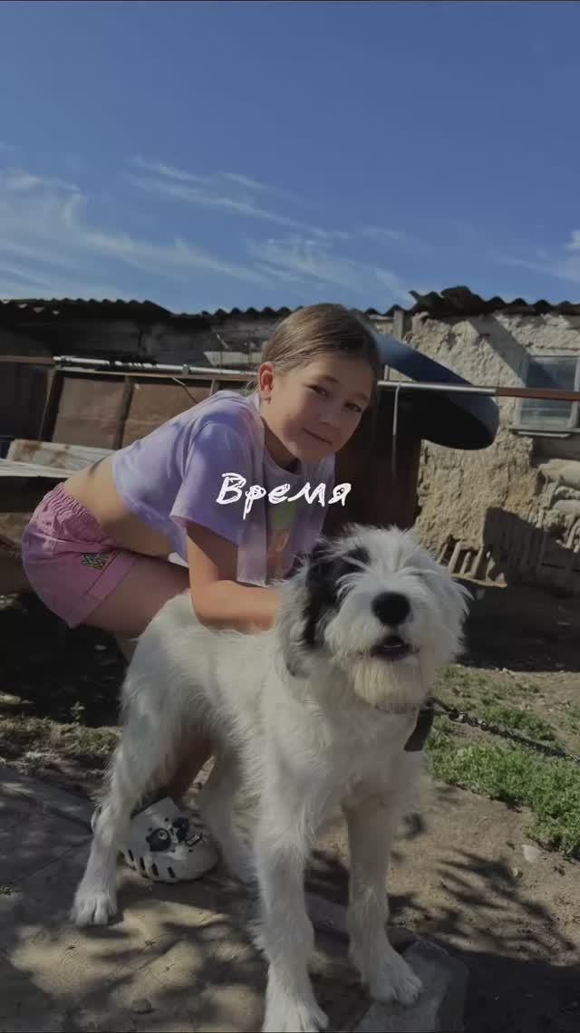 Время идет… смотреть онлайн