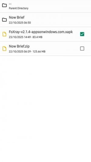 Как установить приложения в формате apks, zip, xapk и другие на 👉Смартфон