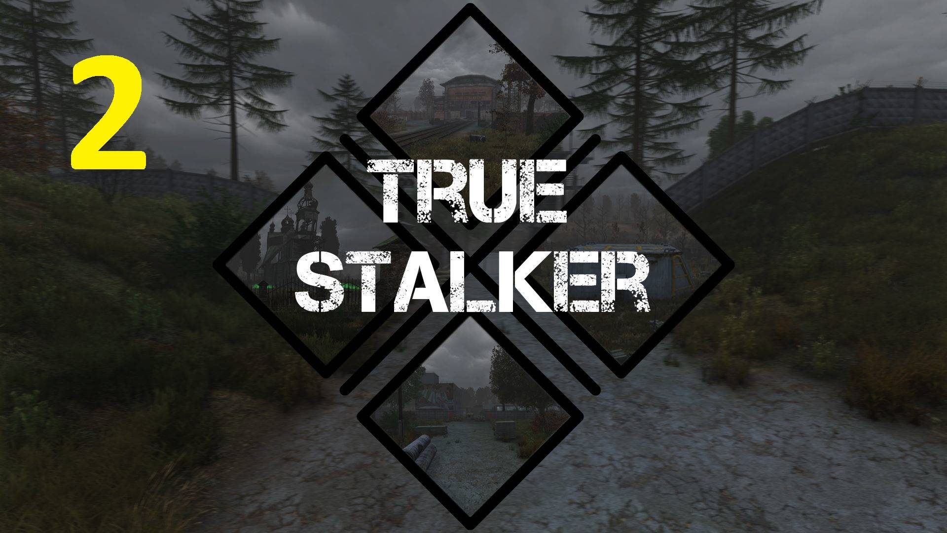 Прохождение S.T.A.L.K.E.R True Stalker. Часть 2 смотреть онлайн