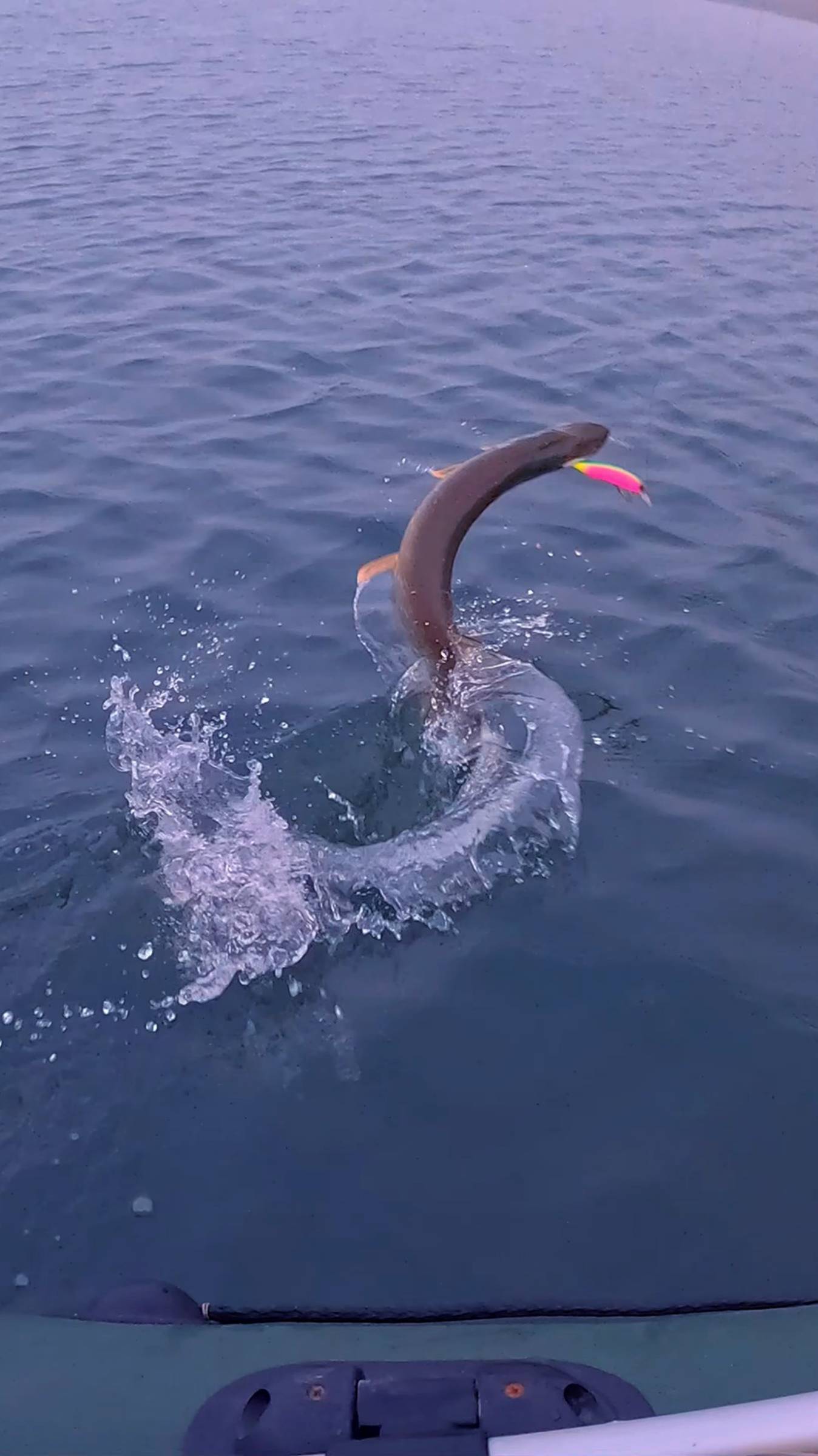 Рыбалка, о которой вы мечтаете! #shorts смотреть онлайн