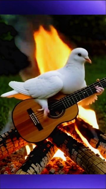 Пернатый выдаёт базы🐔