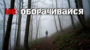 Не сходи с тропы Лес, который НЕ хочет, чтобы его нашли. Страшные истории