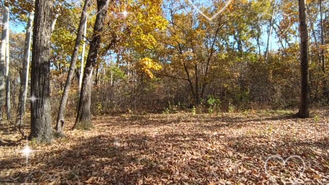 Гармония чувств - музыка Сергей Грищук смотреть онлайн