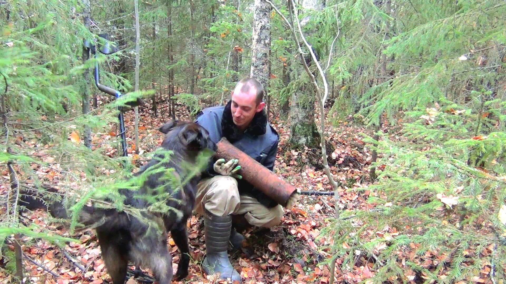 Череда неудач и собака закопанная медведем в болоте заставила меня развернуться и ехать с копа домой смотреть онлайн
