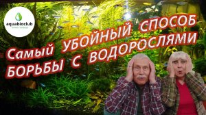 Самый убойный способ  борьбы против водорослей.