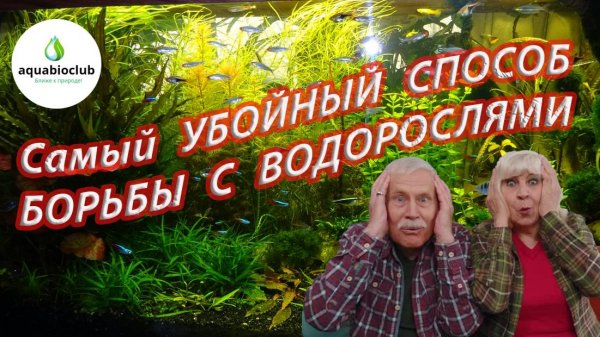 Самый убойный способ борьбы против водорослей.