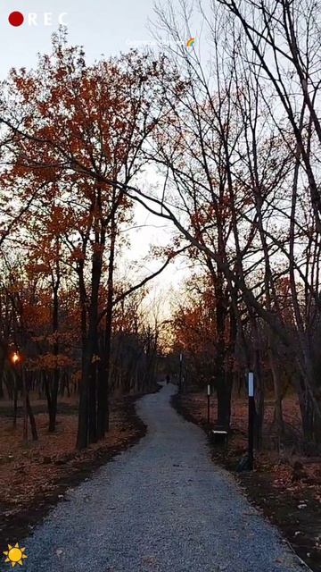 Обзор моя осенняя прогулка в Ласточкино по экотрапе 15.10.2025 смотреть онлайн