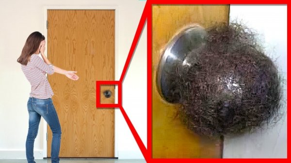 Случаи Пассивно-Агрессивной Мести. Часть 5