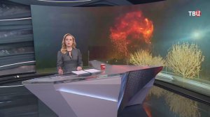 Взрыв в Копейске: как минимум 10 погибших, заведено дело, объявлен траур / События на ТВЦ