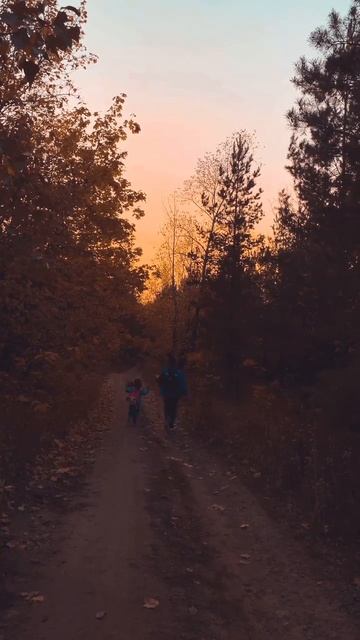 Осенний лес 😍 смотреть онлайн