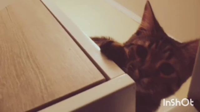 Парижский синдром