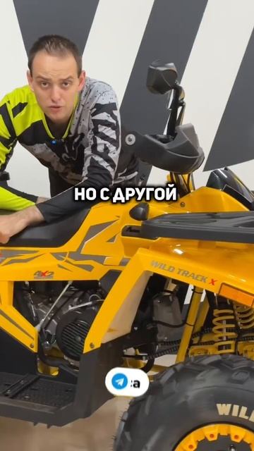 Фильтры на квадриках🤔 смотреть онлайн