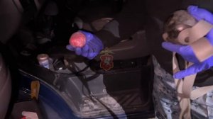 Оперативники задержали отца и сына, подозреваемых в покушении на сбыт марихуаны в крупном размере