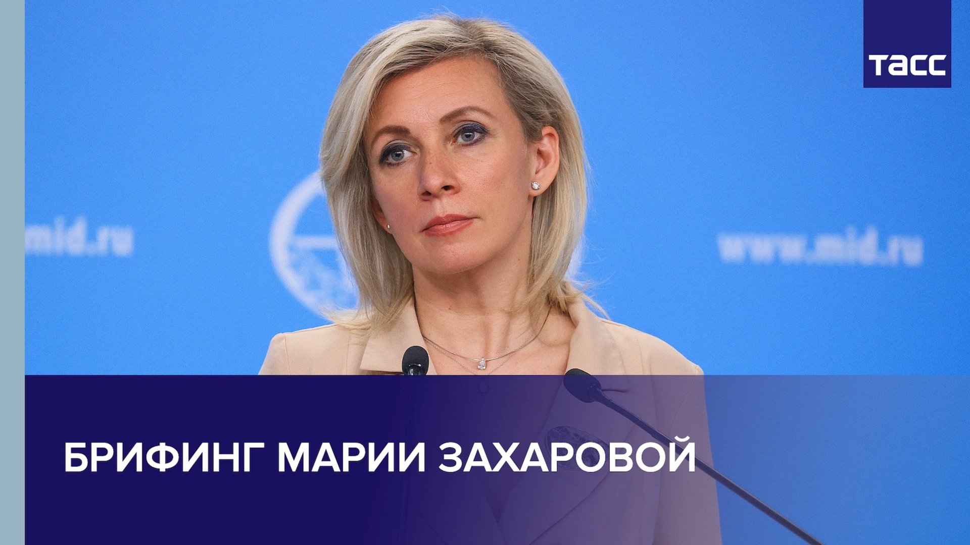 Брифинг Марии Захаровой
