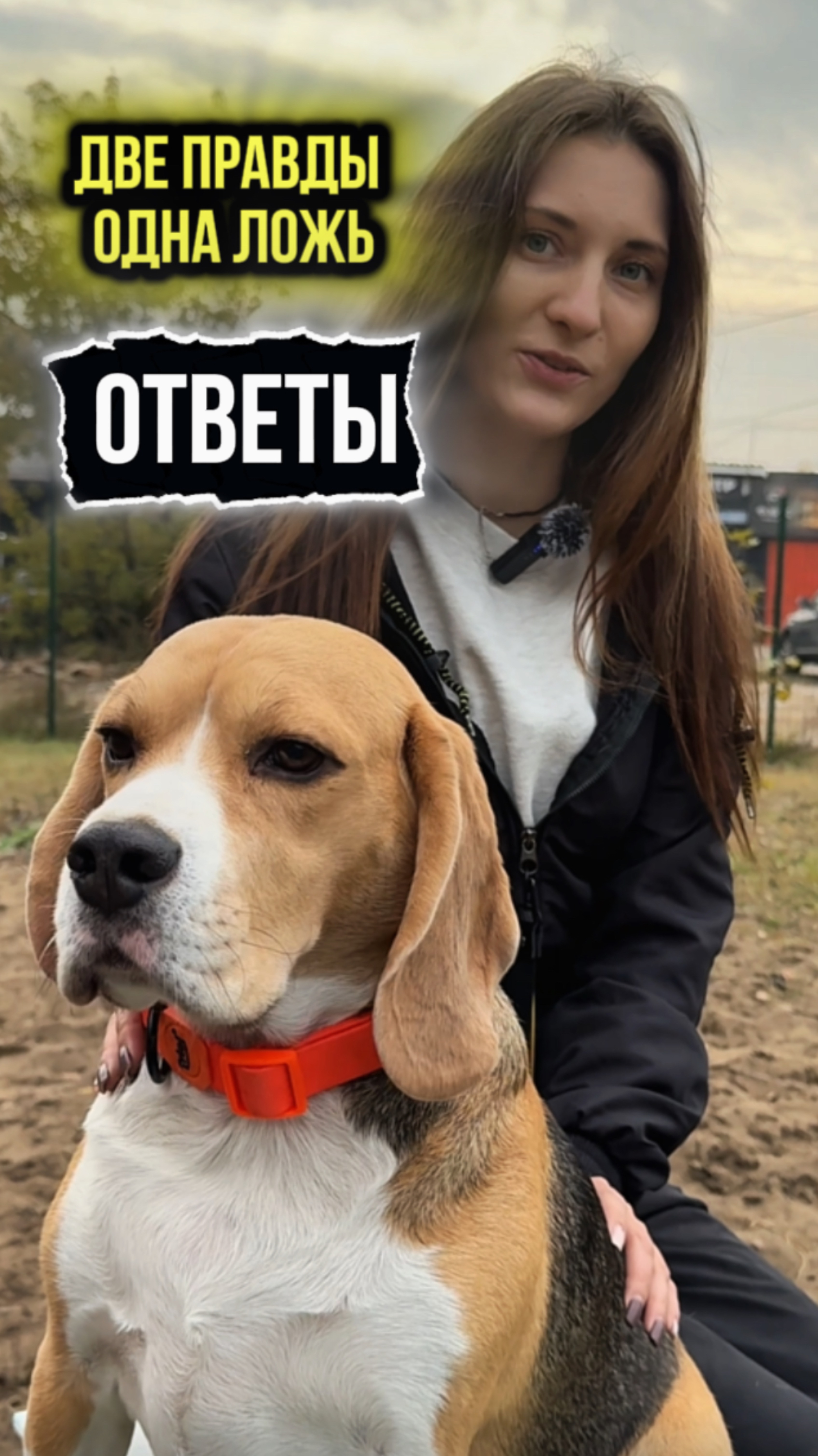 А вот и правда😌 смотреть онлайн