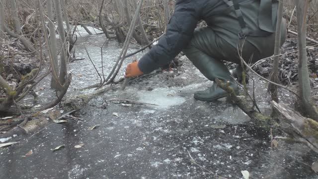 Охота на бобра капканами. Как поймать бобра. смотреть онлайн