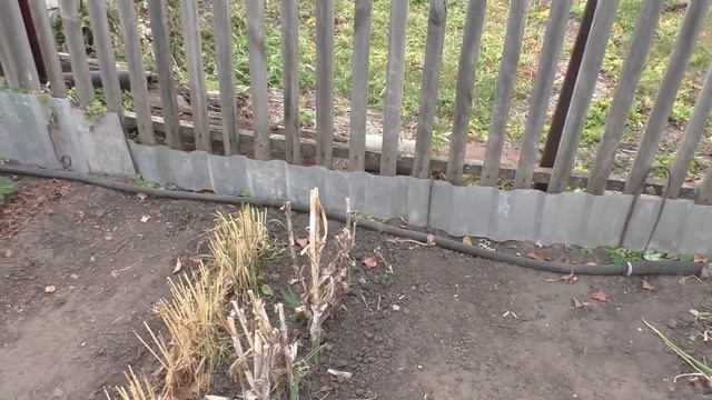 Участок в конце октября