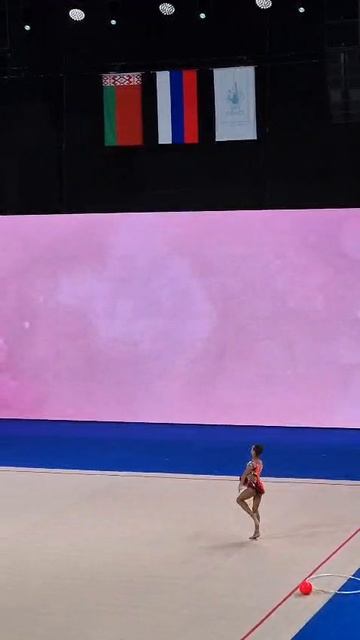 1000078767.mp4 художественная гимнастика