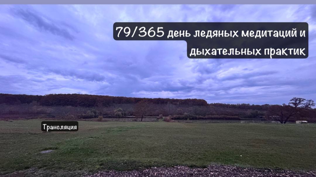 79/65 подключайтсь #медитация #випассана #ретрит смотреть онлайн