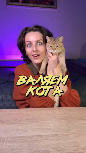 Валяем кота