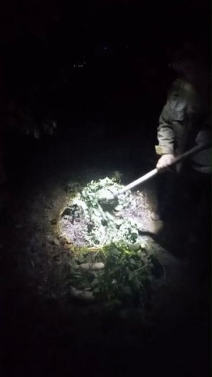 уборка урожая