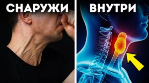 🤧 Почему нельзя сдерживать чихание — важный совет для всех! 🚫