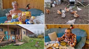 ПОСМОТРИМ ПОКУПКИ, ЧТО ПРИВЕЗЛИ ИЗ ГОРОДА И УГОСТИМ КУРОЧЕК ВКУСНЯШКАМИ.