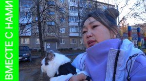 Старекс не завёлся. Пихлик на прогулке. Почему расстроилась.