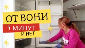 Многие и не слышали: это уберет вонь и запах плесени в холодильнике за минуту