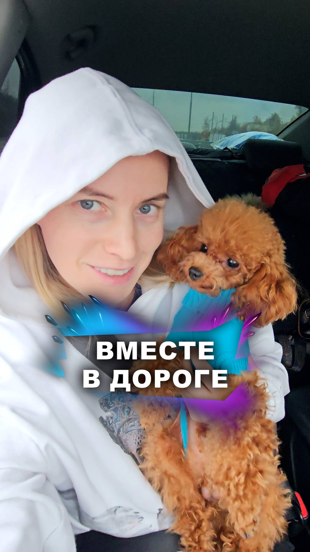 С собаками – везде и всюду! #животные смотреть онлайн