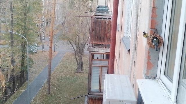 Завтрак у синичек смотреть онлайн