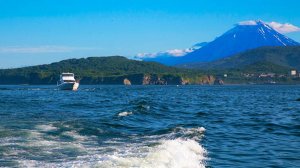 Вперед на встречу с океаном!